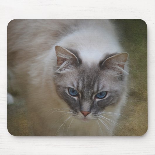 Tapis de souris de chat de Ragdoll (Devant)