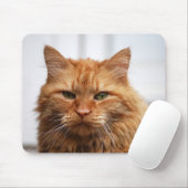 Tapis de souris de chat de ragondin du Maine (Avec souris)