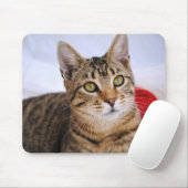 Tapis de souris de chat tigré (Avec souris)