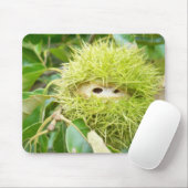 Tapis de souris de châtaigne (Avec souris)