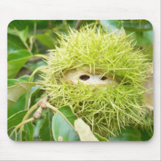 Tapis de souris de châtaigne