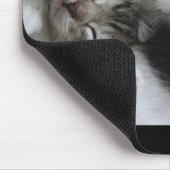 Tapis de souris de chatons de sommeil (Coin)