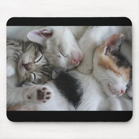 Tapis de souris de chatons de sommeil (Devant)