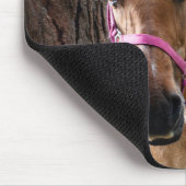 Tapis de souris de cheval (Coin)