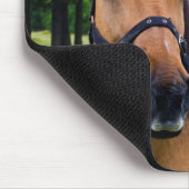 Tapis de souris de cheval (Coin)