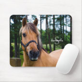 Tapis de souris de cheval (Avec souris)