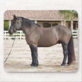 Tapis de souris de cheval de trait (Devant)