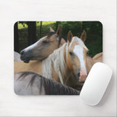 Tapis de souris de chevaux (Avec souris)