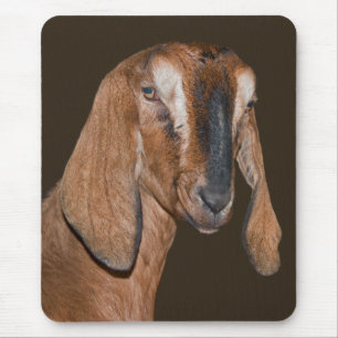 Tapis de souris de chèvre nubienne
