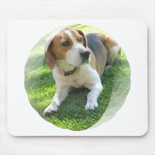 Tapis de souris de chien de chasse de beagle (Devant)