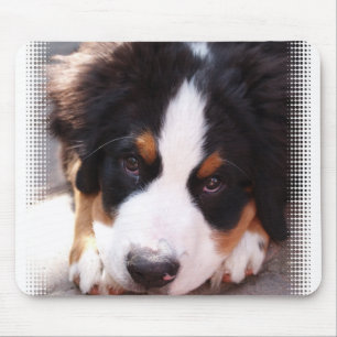 Tapis de souris de chien de montagne de Bernese