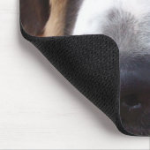 Tapis de souris de chien de St Bernard (Coin)