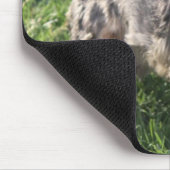 Tapis de souris de chien de York Terrier (Coin)