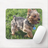 Tapis de souris de chien de York Terrier (Avec souris)