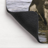 Tapis de souris de chien du Queensland Heeler (Coin)