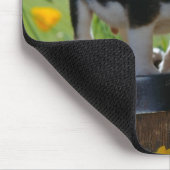tapis de souris de chiot (Coin)
