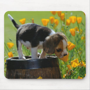 tapis de souris de chiot