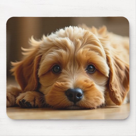 Tapis de souris de chiot Cockapoo mignon – Tapis d (Devant)