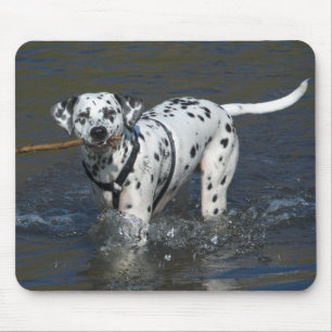 Tapis de souris de chiot dalmatien amour