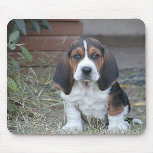 Tapis de souris de chiot de basset (Devant)