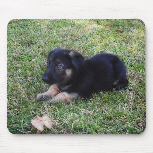 Tapis de souris de chiot de berger allemand (Devant)
