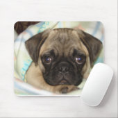 Tapis de souris de chiot de carlin (Avec souris)