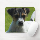 Tapis de souris de chiot de Jack Russell (Avec souris)