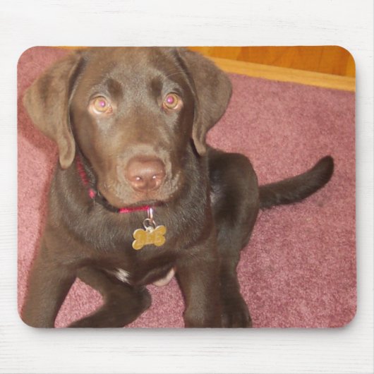 Tapis de souris de chiot de Labrador de chocolat (Devant)