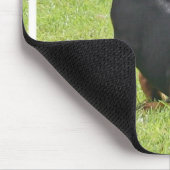 Tapis de souris de chiot de Pinscher de dobermann (Coin)