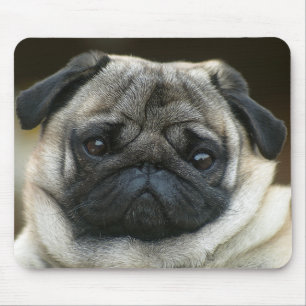 Tapis de souris de chiot Pug mignon
