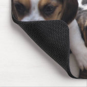 tapis de souris de chiots de beagle (Coin)