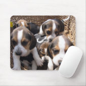 tapis de souris de chiots de beagle (Avec souris)