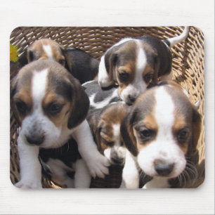 tapis de souris de chiots de beagle