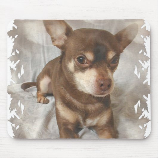 Tapis de souris de chiwawa (Devant)