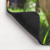 Tapis de souris de cobaye (Coin)