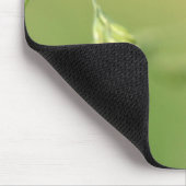 Tapis de souris de coccinelle (Coin)