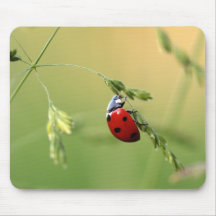 Tapis de souris de coccinelle