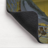 Tapis de souris de cockatiel (Coin)