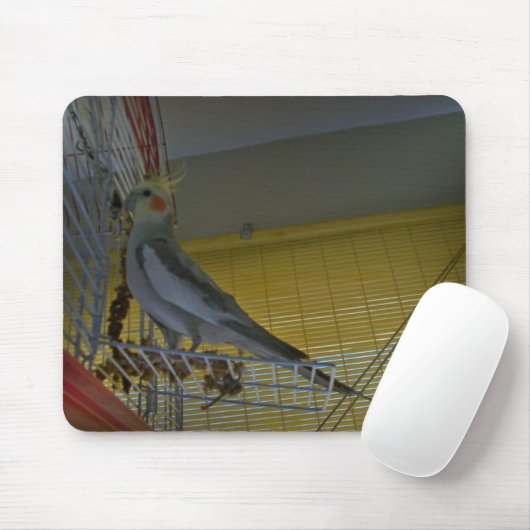 Tapis de souris de cockatiel (Avec souris)