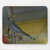 Tapis de souris de cockatiel (Devant)
