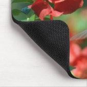 Tapis de souris de colibri (Coin)