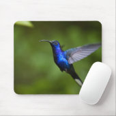 TAPIS DE SOURIS DE COLIBRI (Avec souris)