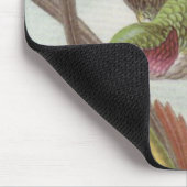 Tapis de souris de colibri d'Ernst Haeckel (Coin)