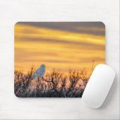 Tapis de souris de coucher du soleil de hibou de (Avec souris)