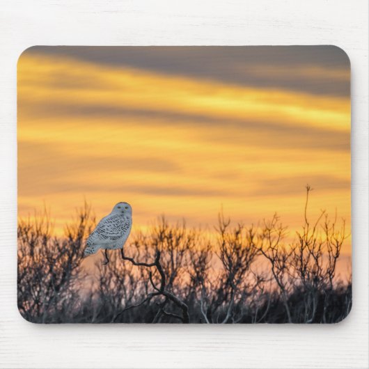 Tapis de souris de coucher du soleil de hibou de (Devant)