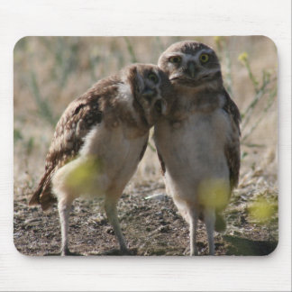 Tapis de souris de couples de hibou