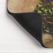 Tapis de souris de crapauds de ventre du feu (Coin)