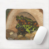 Tapis de souris de crapauds de ventre du feu (Avec souris)