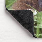 Tapis de souris de cueillette (Coin)