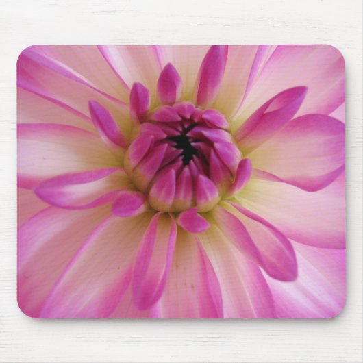 Tapis de souris de dahlia (Devant)